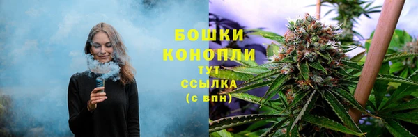 бошки Бородино