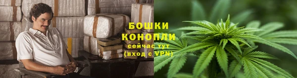 спиды Липки