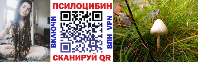 где купить наркоту  Медногорск  Псилоцибиновые грибы GOLDEN TEACHER 