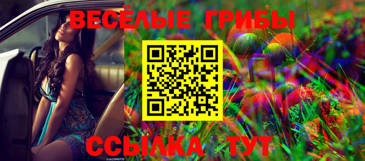 Псилоцибиновые грибы Cubensis Медногорск