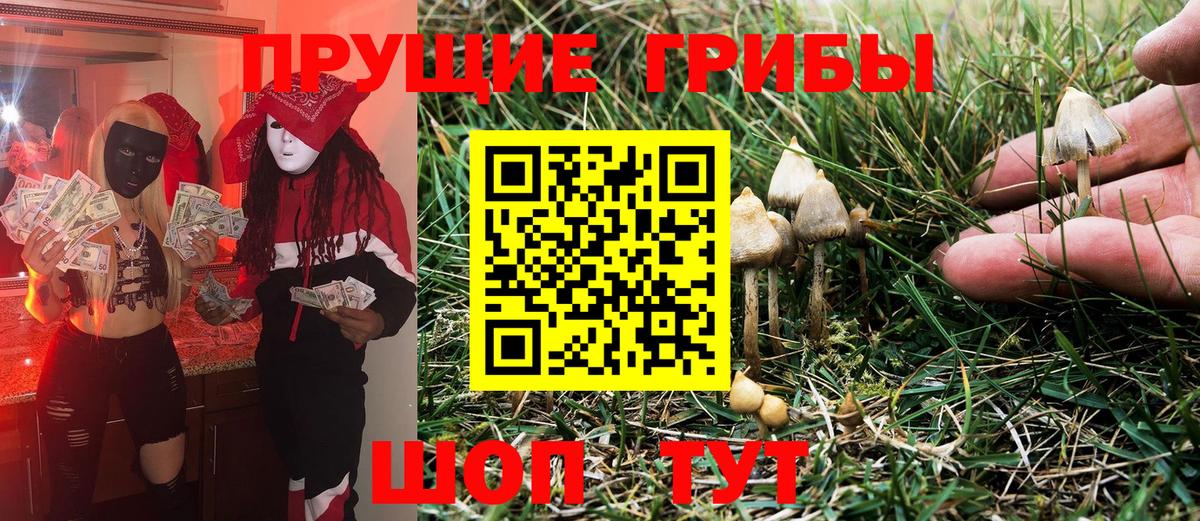Галлюциногенные грибы мицелий  где купить наркотик  Медногорск  Вход с VPN 