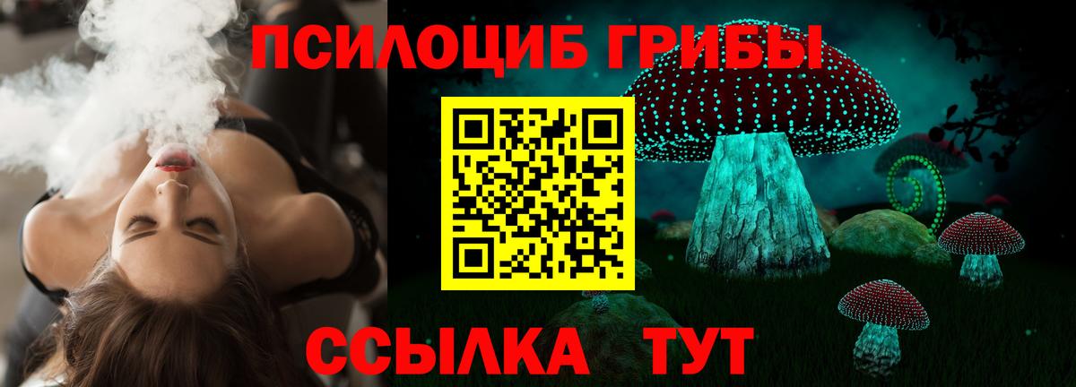 Псилоцибиновые грибы GOLDEN TEACHER  Медногорск 